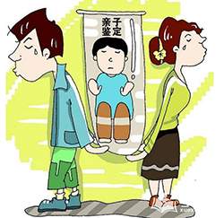 达州亲子鉴定费用是多少（预约快速办理），达州亲子鉴定详细流程