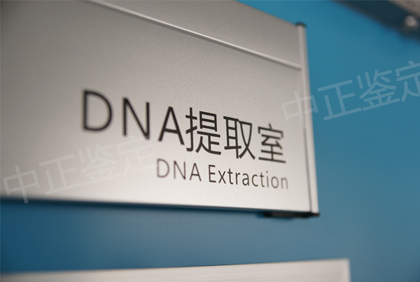 达州DNA鉴定在哪里能办理,达州亲子鉴定要多少费用